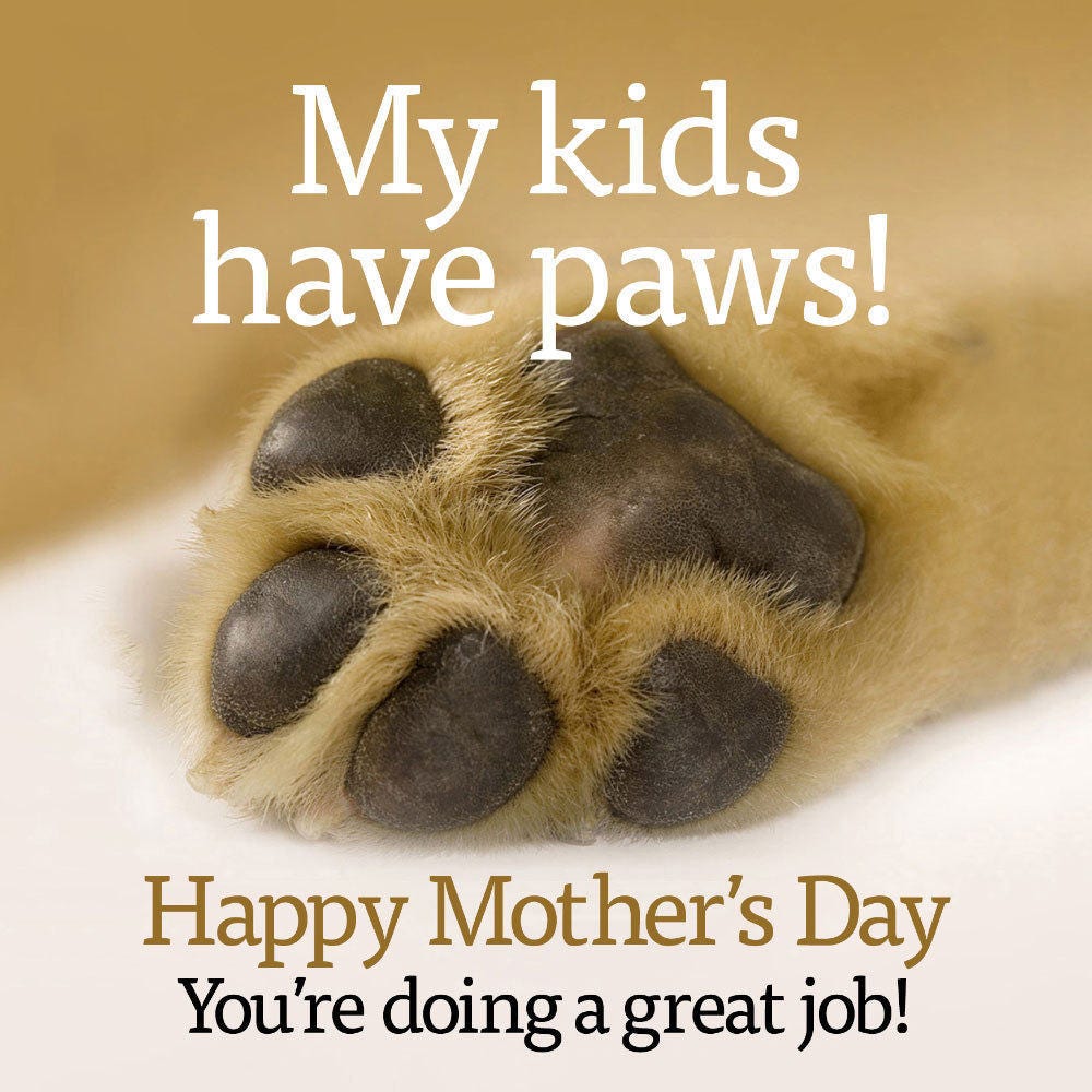 My kids have paws – Happy Mother’s Day card
