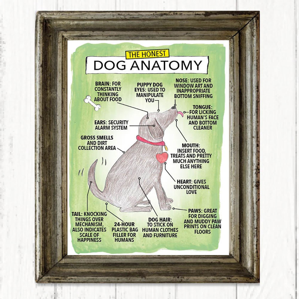 The Honest Dog Anatomy funny art print, Christmas gifts, Birthday gifts