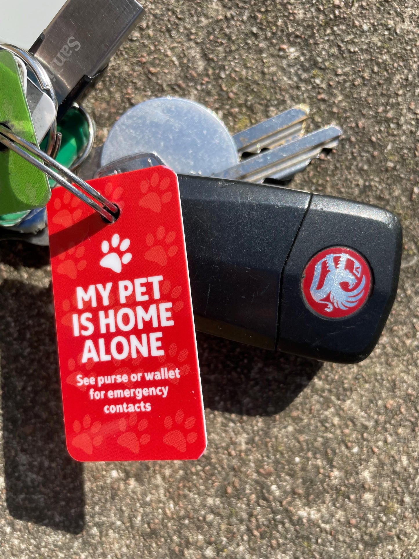 Shake Paws’ Home Alone Pet Safety Card, Christmas gifts, birthday gifts, ICE