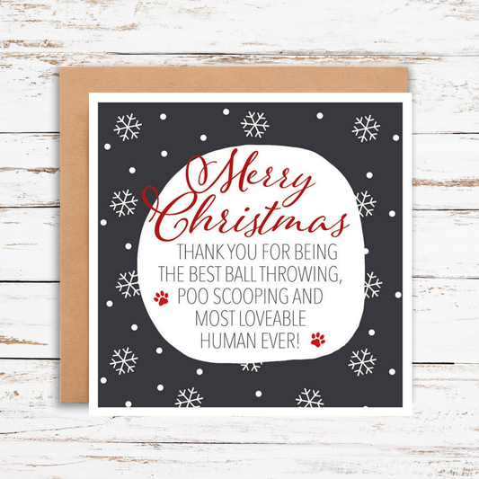 Christmas card with red text on a dark background, featuring snowflakes and a kraft envelope.
