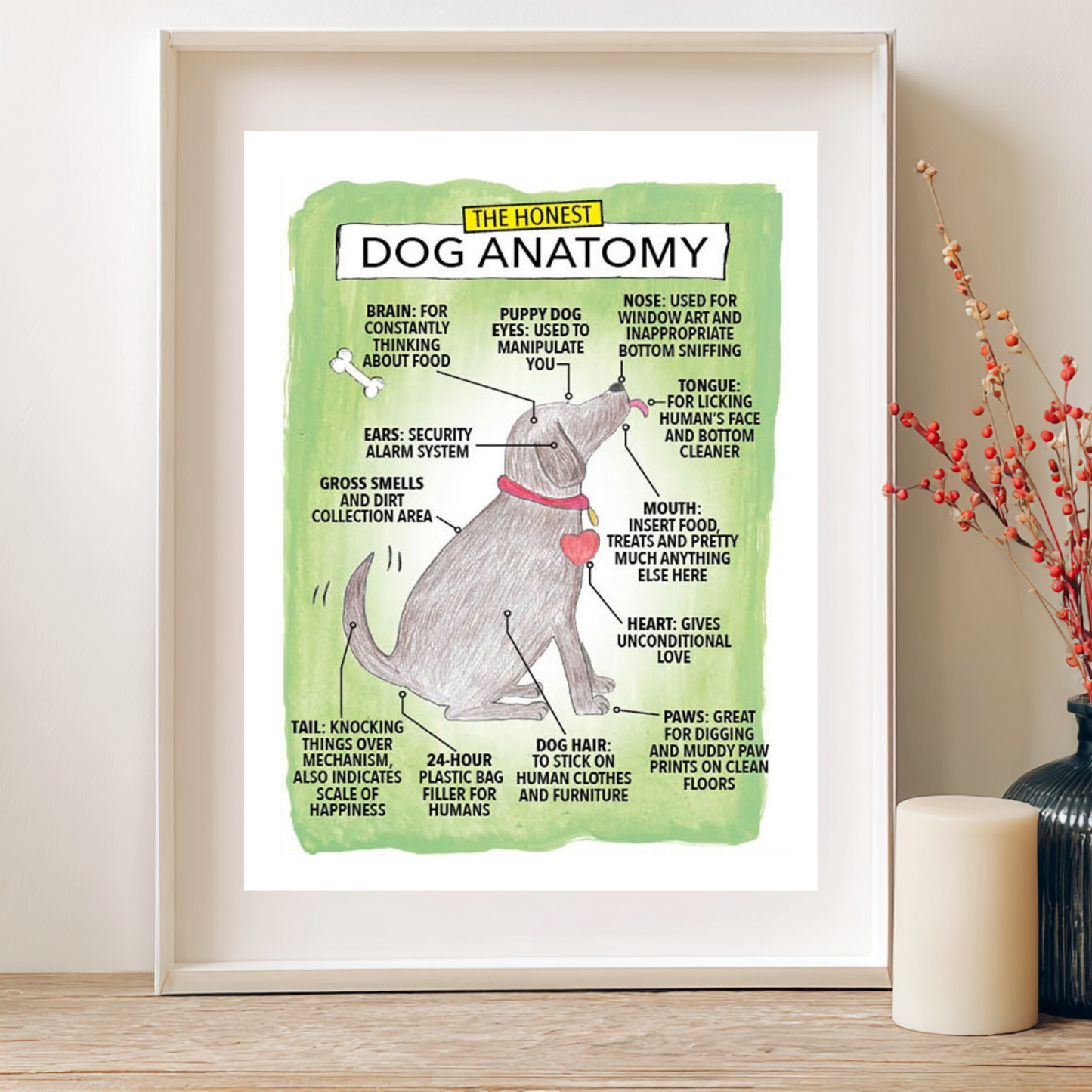 Framed diagram of dog anatomy on a wall with decorative elements.