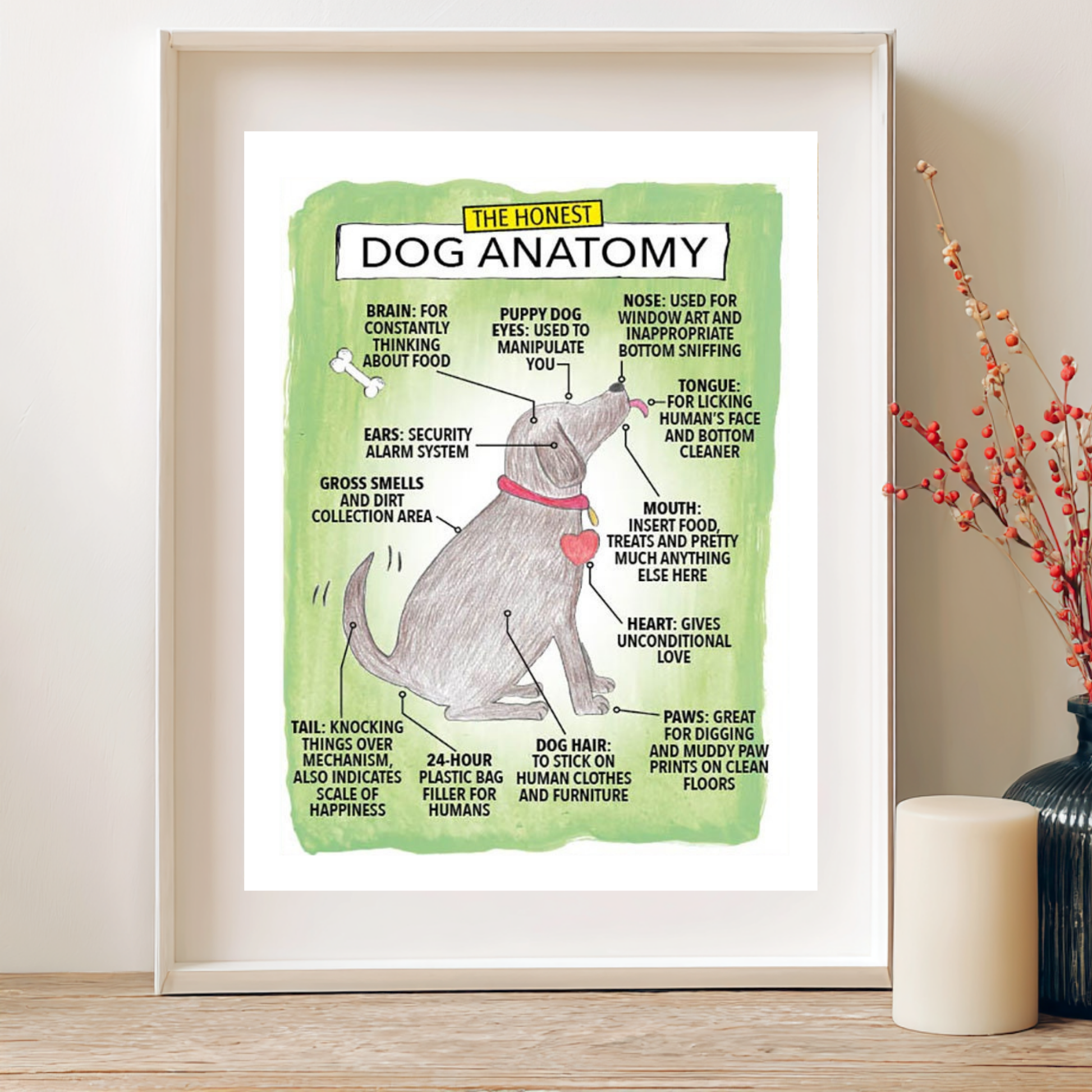 Framed diagram of dog anatomy on a wall with decorative elements.