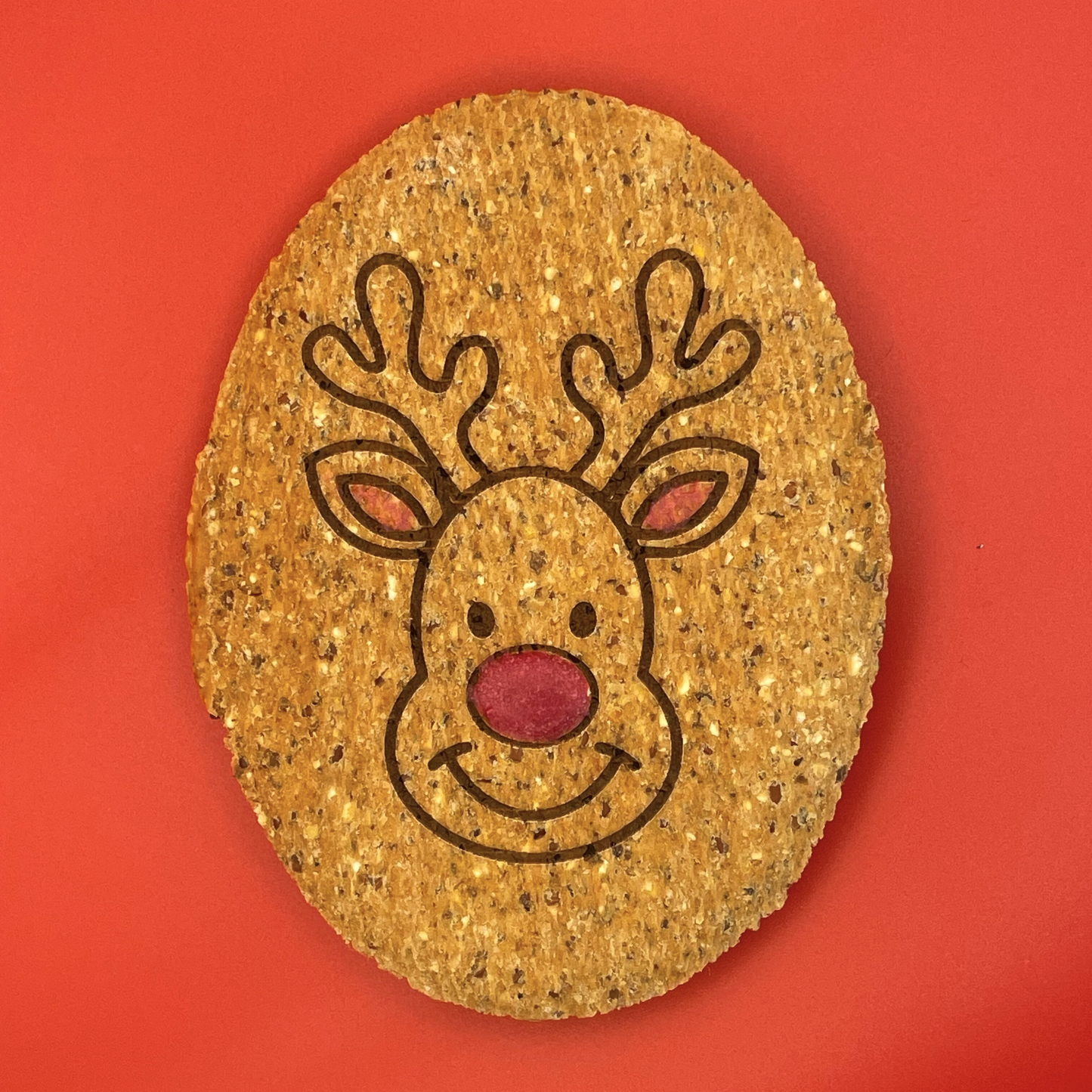 Dog Biscuitwith a reindeer design on a red background