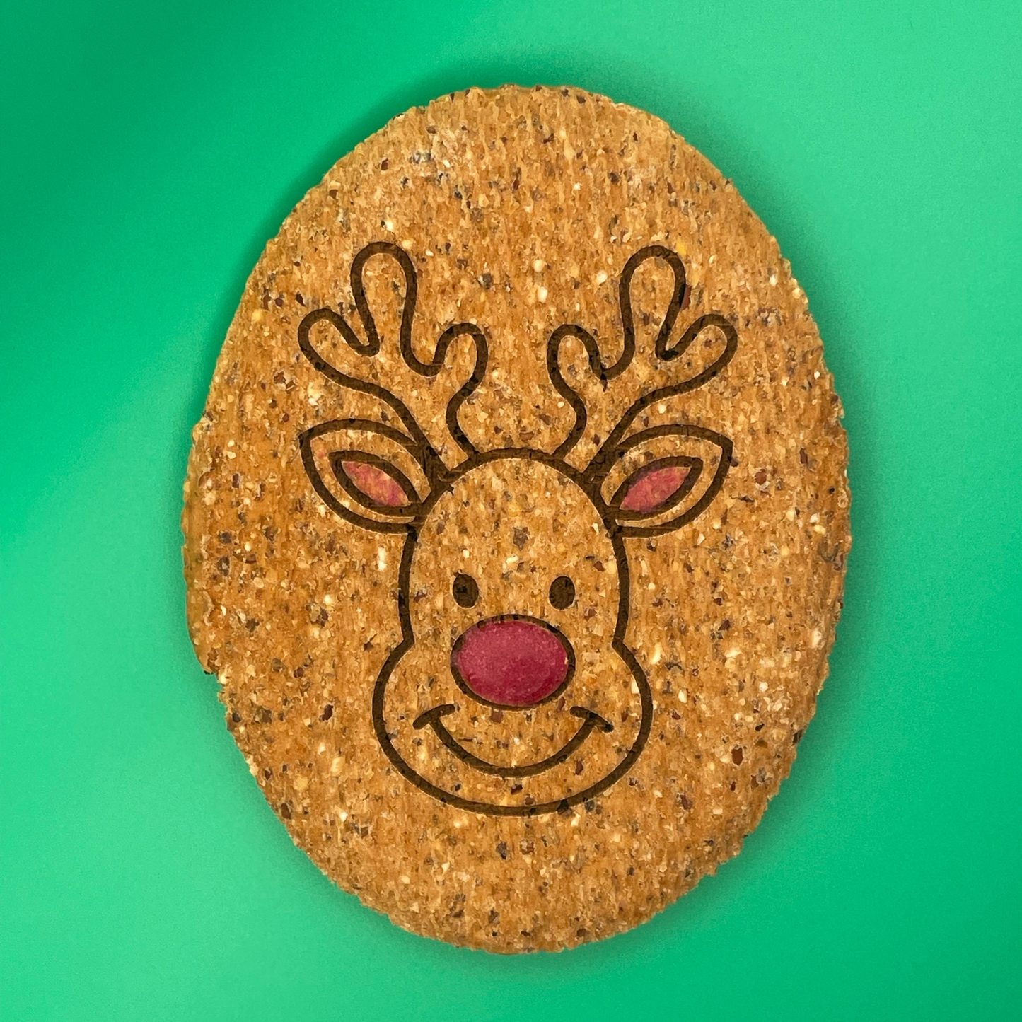 Dog Biscuitwith a reindeer design on a green background
