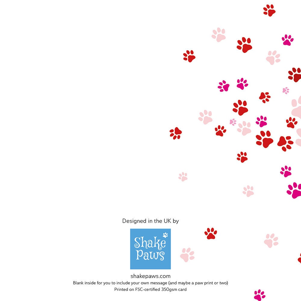 Congratulations on Your New Rescue Dog greetings card, mixed breeds