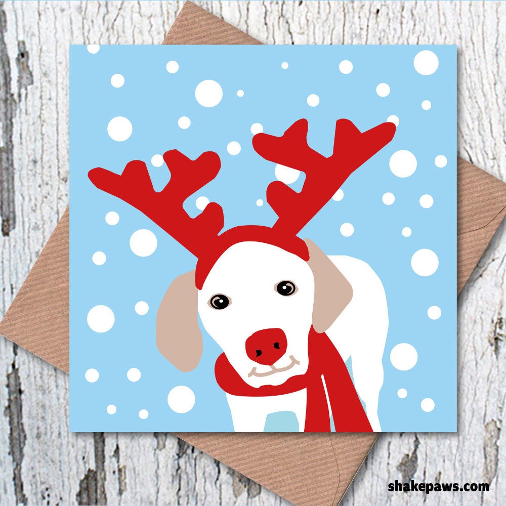 Exclusive! Christmas cards for dog lovers – pack of four unique designs