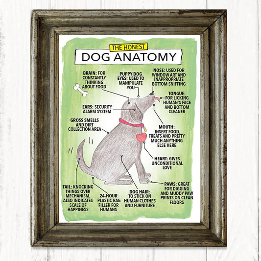 The Honest Dog Anatomy funny art print, Christmas gifts, Birthday gifts