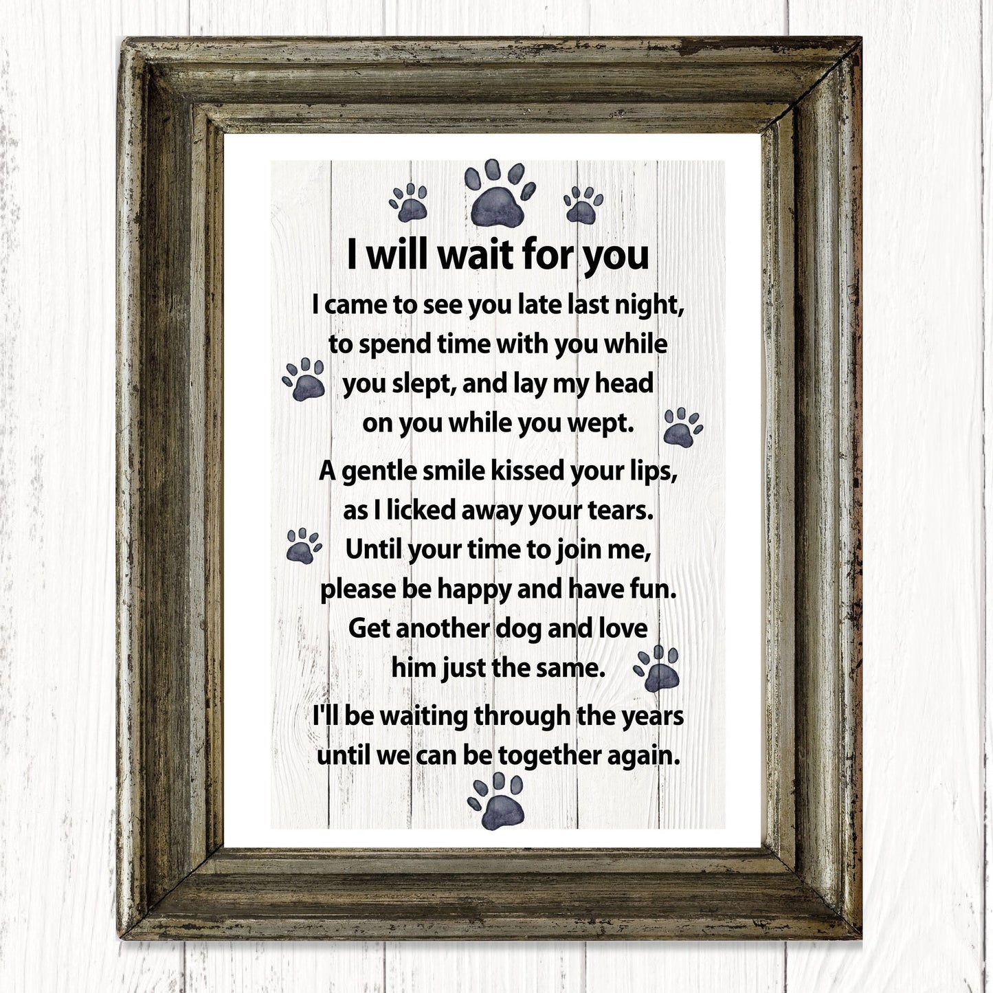 I will wait for you… a message from your dog