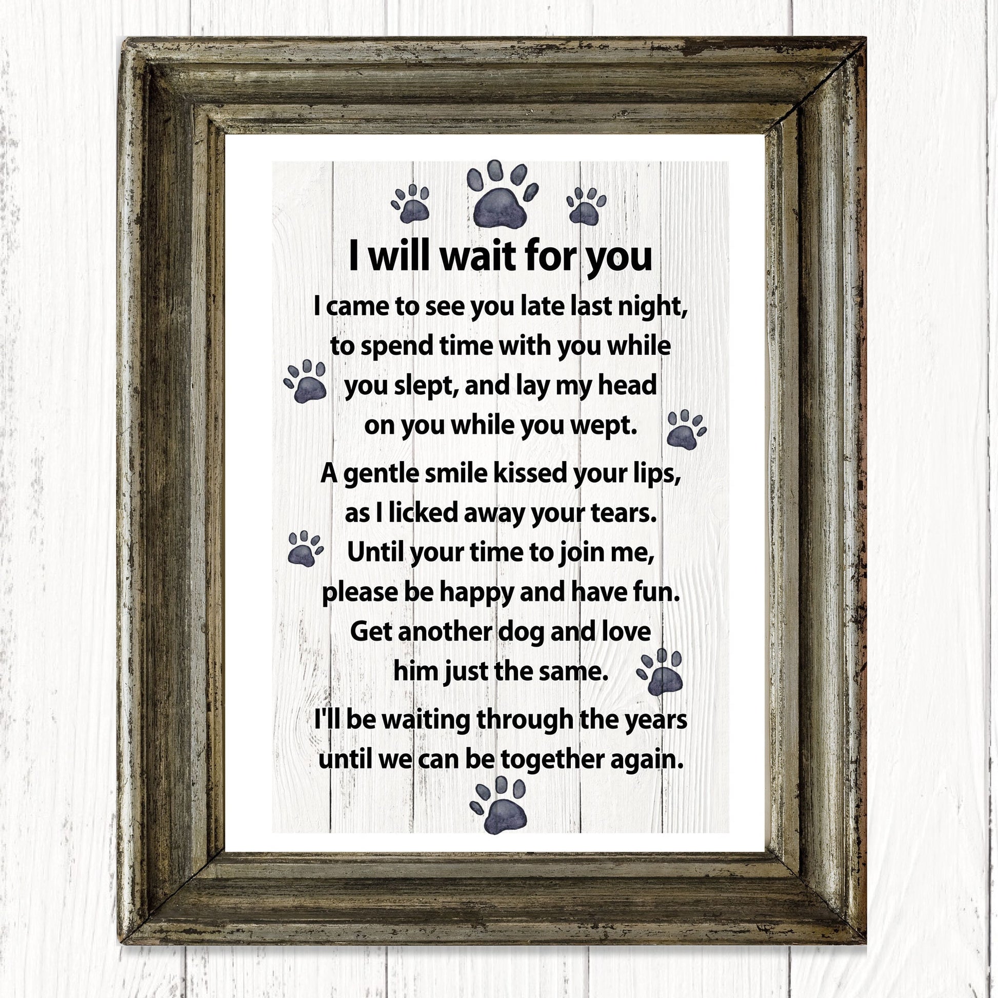 I will wait for you… a message from your dog