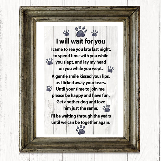 I will wait for you… a message from your dog