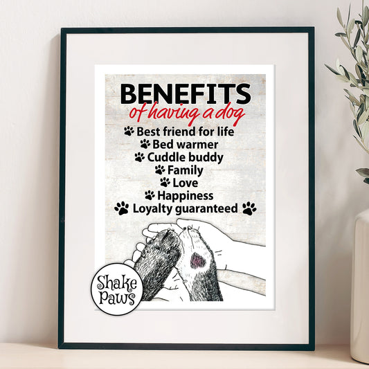 Benefits of having a dog… there are so many! dog lovers, doggy