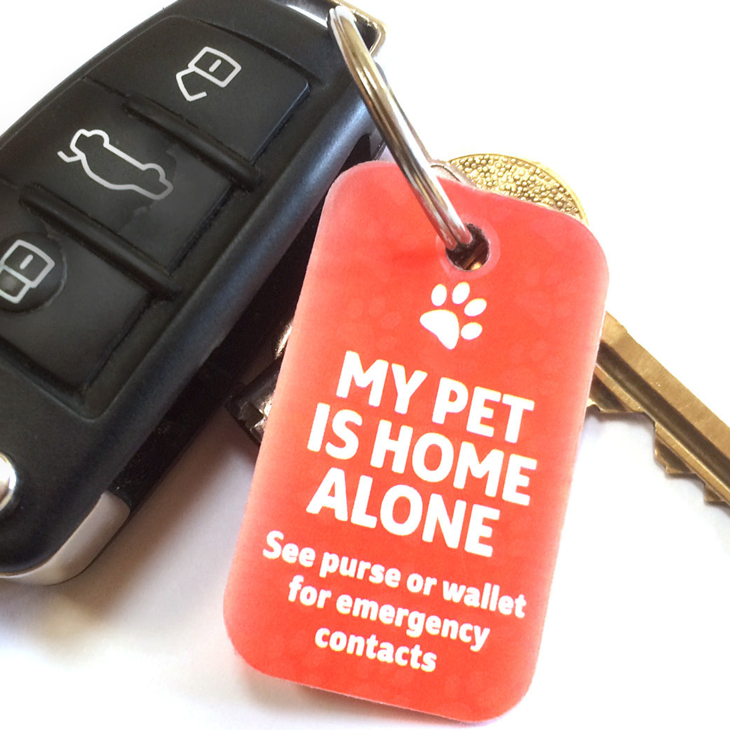 Red keychain tag with 'My Pet is Home Alone' text on a car key fob.